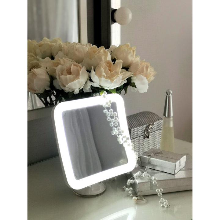 Bathroom mirror, swivel with LED illumination CR 2169