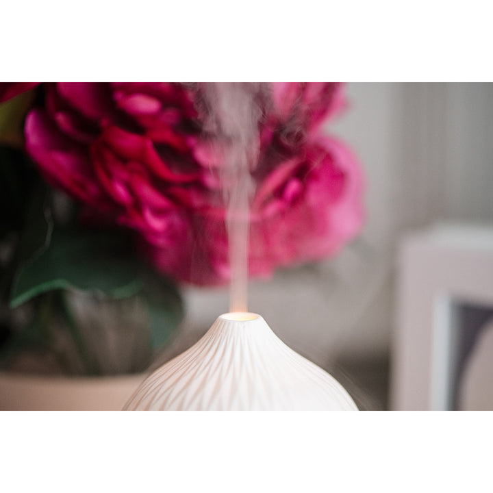 Camry CR 7970 Ultraschall-Aromadiffusor 3in1, 3 Funktionen: Aromatherapie, Schonende Befeuchtung, Stimmungslampen,Ultraschallfrequenz: 2,4MHz, Fassungsvermögen: 100ml, Befeuchtungsleistung: 20-30ml/h