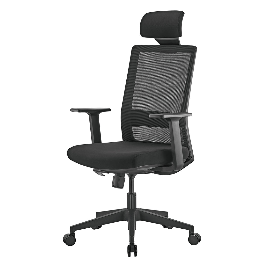 Ergo Office premium ergonomic high back office chair, max 150kg, ER-425