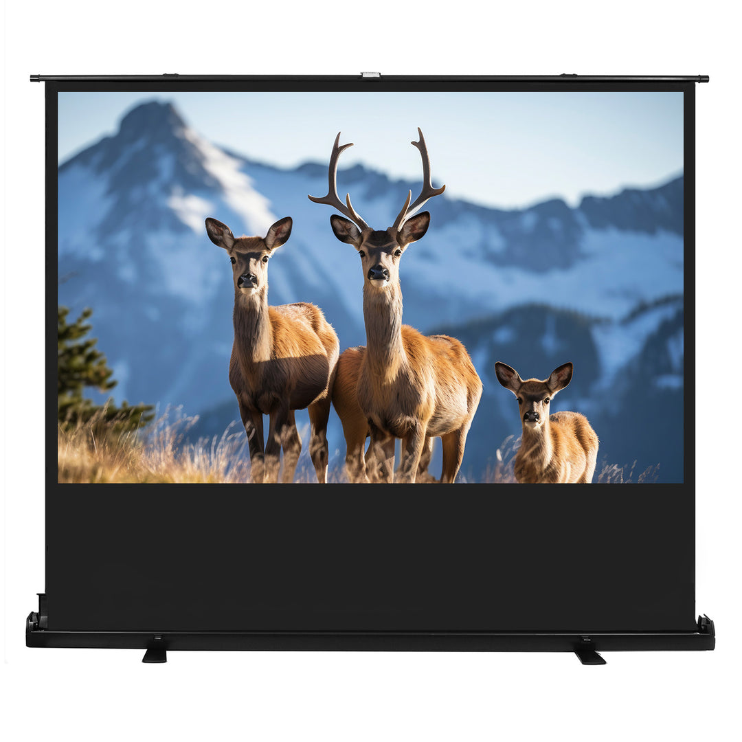 Maclean MC-213 Portable Projection Screen, Compact, Floor, 100", 16:10