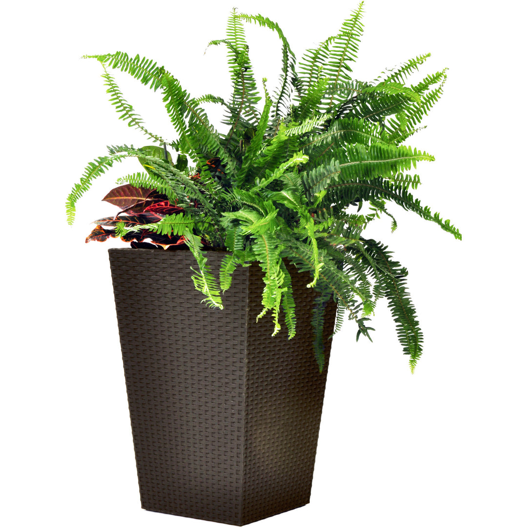 Keter Tall Flower Pot Rectangular Height 57cm Brown Rattan Style Planter M Indoor Outdoor Water Drain Plug Weatherproof