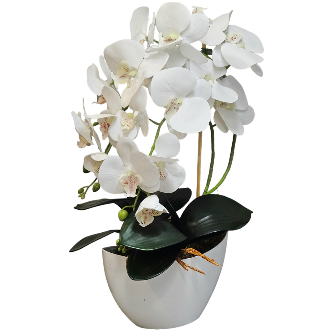 Damich Artificial Orchid Flowers, Realistic Rubber Material, 2-Pack Bundle for Home and Office Decor