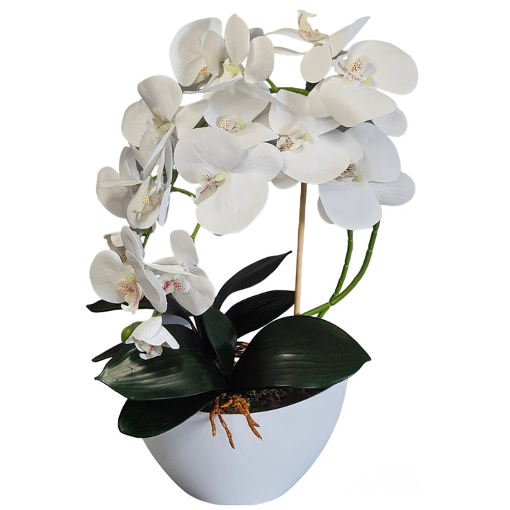 Damich Artificial Orchid Flowers, Realistic Rubber Material, 2-Pack Bundle for Home and Office Decor