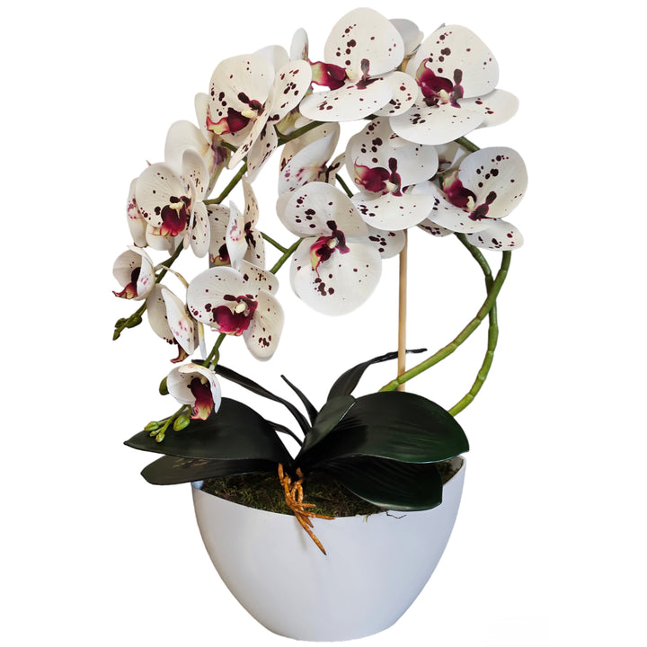 Damich Artificial Orchid Flowers, Realistic Rubber, 2-Pack