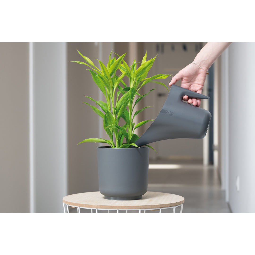 Form-Plastic watering can, 1.2l, anthracite, plastic, Aruba