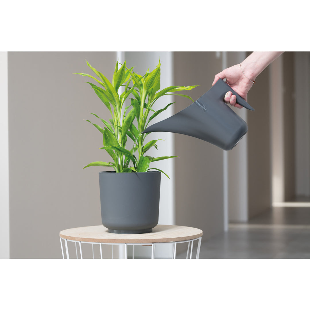 Form-Plastic watering can, 1.2l, anthracite, plastic, Aruba