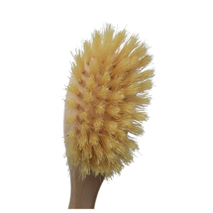 Starmann Children's Hair Brush – Beech Wood Handle with Bleached Bristles (For Ages 1+ | Model 5/01S)