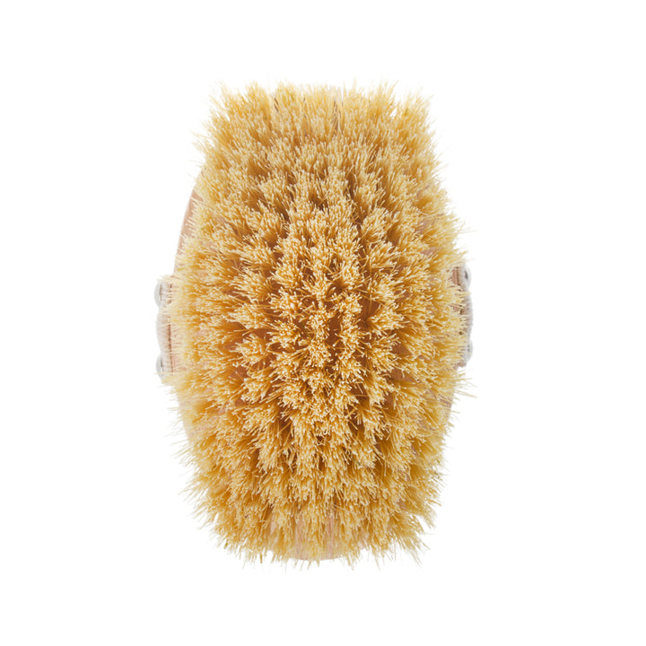 Starmann Körpermassagebürste rechteckig Buche Holzfaser Tampico 5/010K