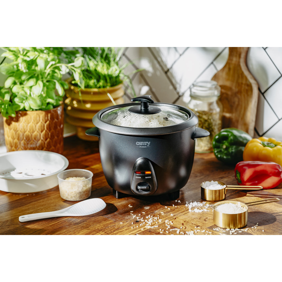 Camry CR 6419 rice cooker 1.0 L capacity