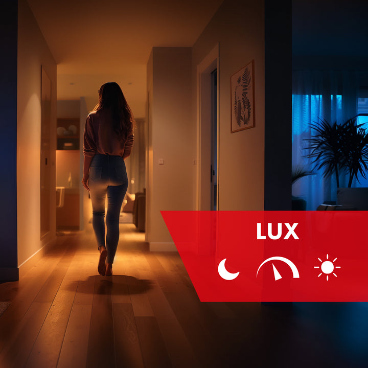 Maclean Dämmerungssensor, mit externer Sonde, 12-24V DC MCE34 V