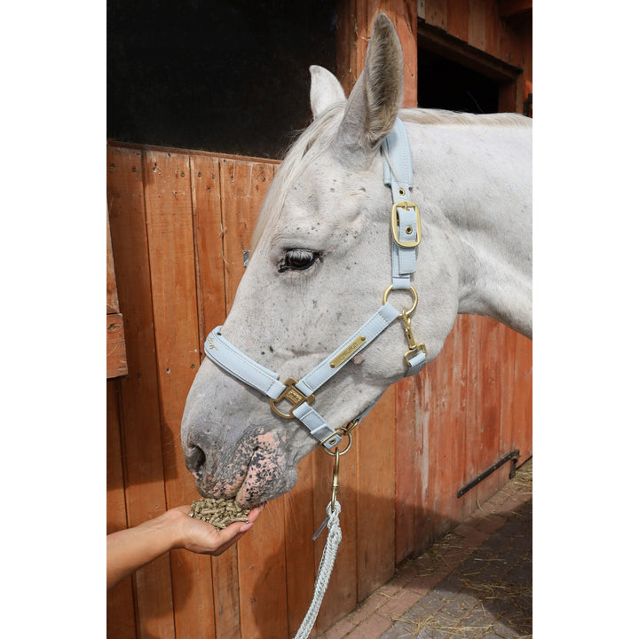 Grass balls, horse food, made from grasses from the land of lakes, 15kg bag