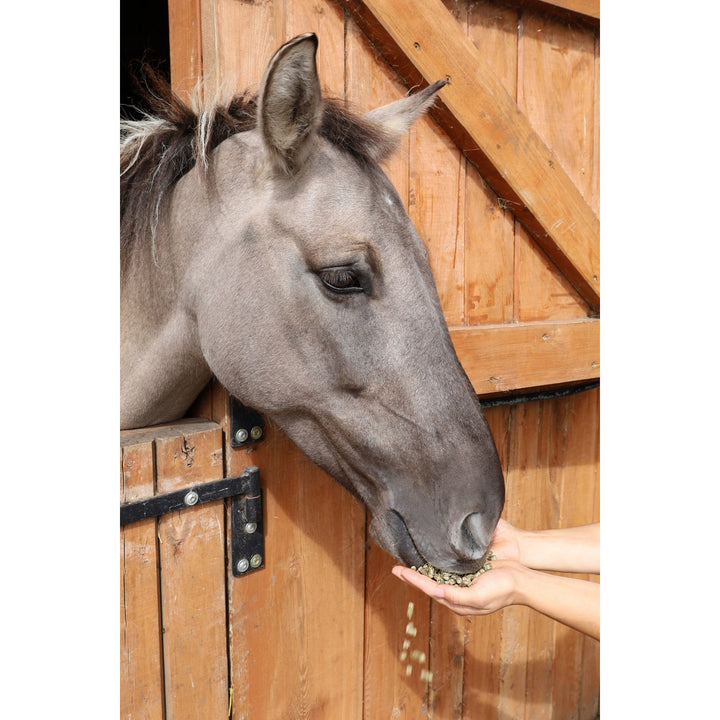 Grass balls, horse food, made from grasses from the land of lakes, 15kg bag