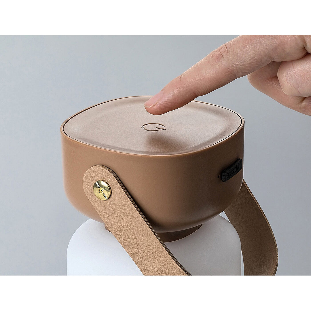 Rabalux decorative lamp, outdoor, IP44, 3W, brown, Funes