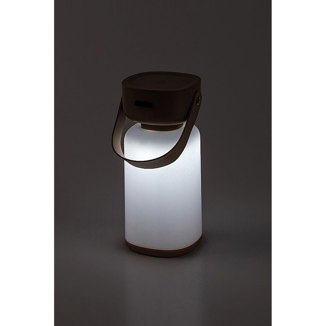 Rabalux decorative lamp, outdoor, IP44, 3W, brown, Funes