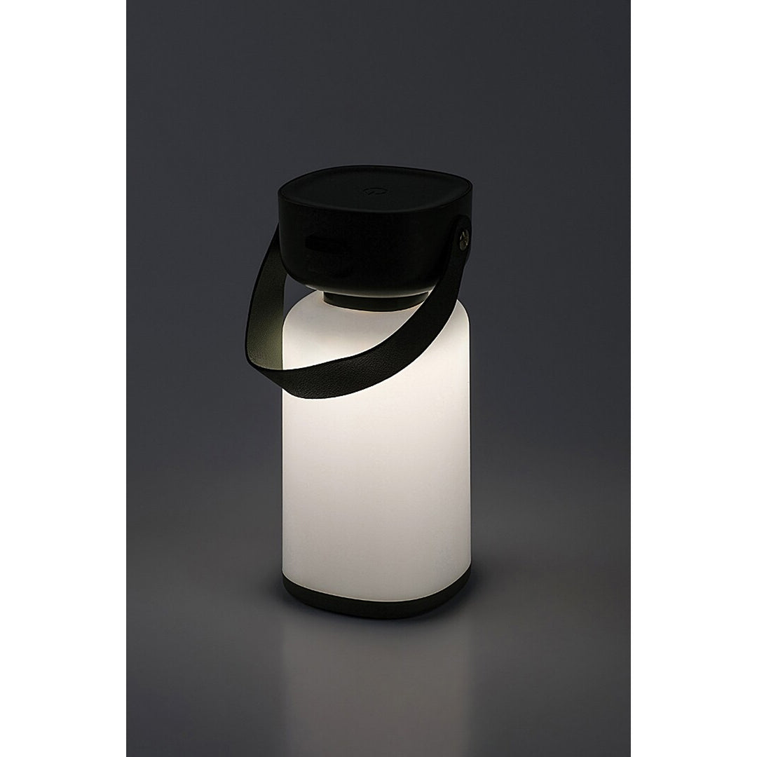 Rabalux decorative lamp, outdoor, IP44, 3W, green, Funes