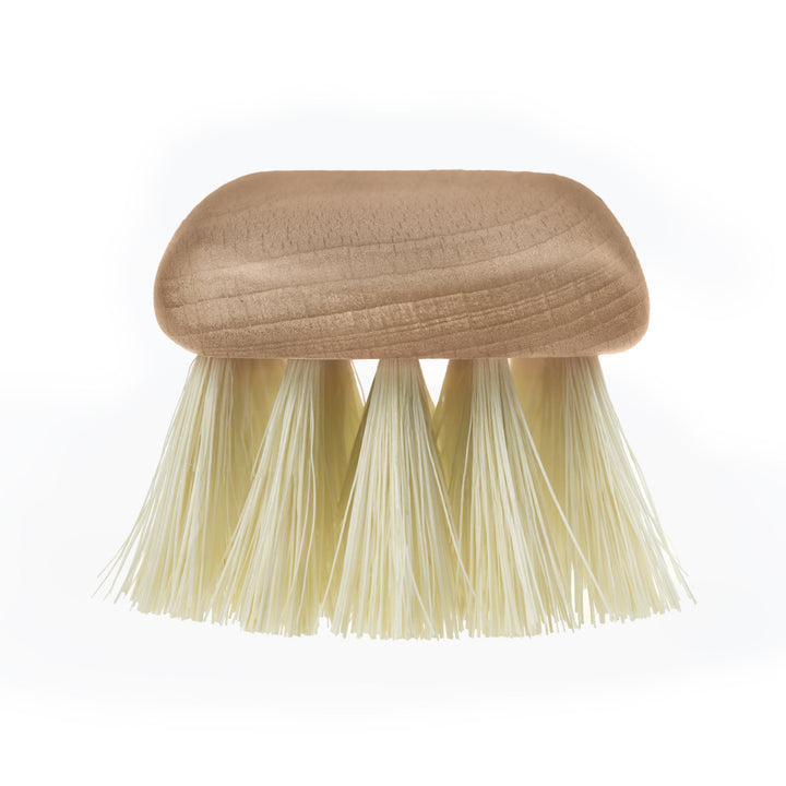 Starmann Polstermöbelbürste, Buchenholz, Tampico, 18cm, 97/8-T