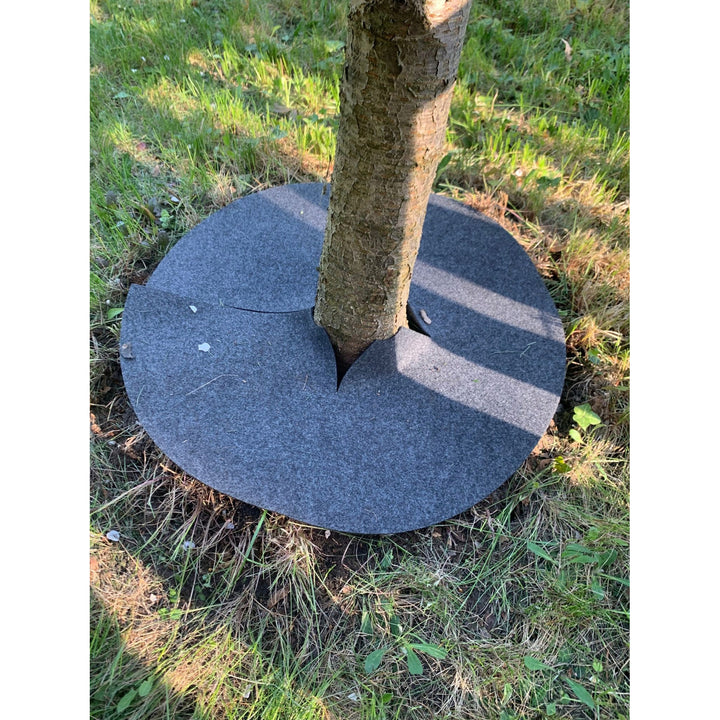 Bertoni anti-wier schijfset, 3 stuks, 50 cm, grijs