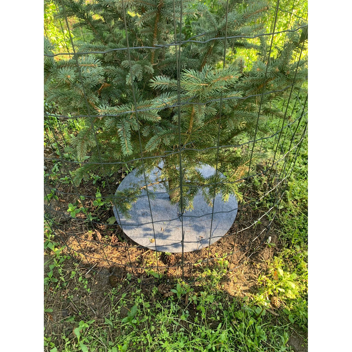 Juego de discos antihierba Bertoni, 3 piezas, 60 cm, gris