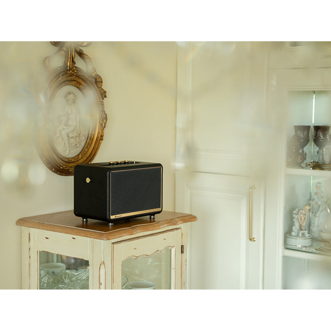 Tracer portable speaker, Bluetooth, FM radio, 30W, black, M30