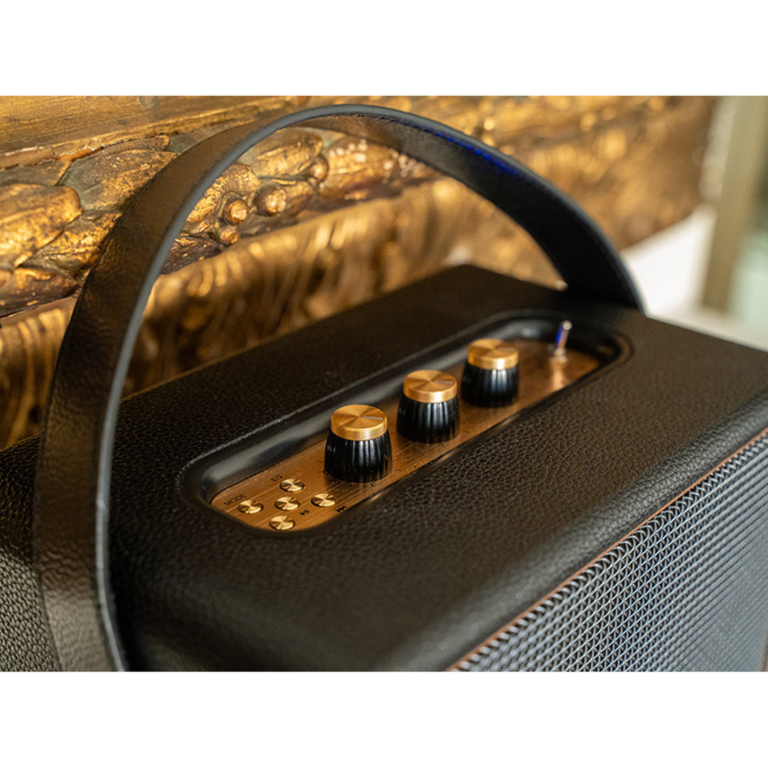 Tracer portable speaker, Bluetooth, FM radio, 30W, black, M30