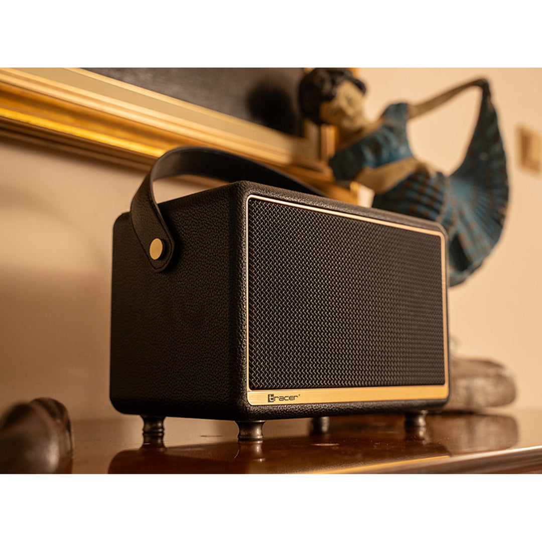 Tracer portable speaker, Bluetooth, FM radio, 30W, black, M30