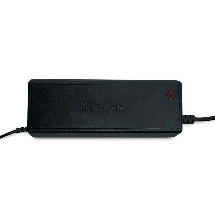 LTC Energy LiFePO4 Battery Rectifier, BMS, 20A, 230/14.6V, 300W Power, Built-in Protection, LXPOE20