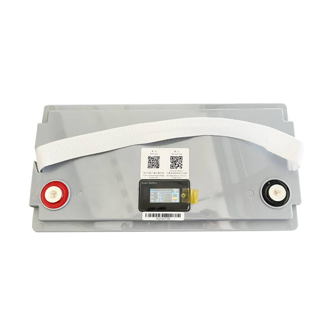 Lexton Lithium-Eisen-Phosphat LiFePo4 Akku, mit BMS, 12,8V, 100Ah, LXLFP100