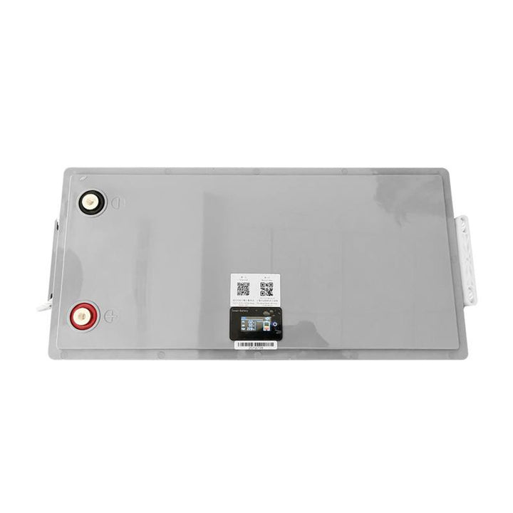 LiFePo4 Lexton Lithium-Eisenphosphat-Akku, mit BMS, 12,8V, 200Ah, LXLFP200