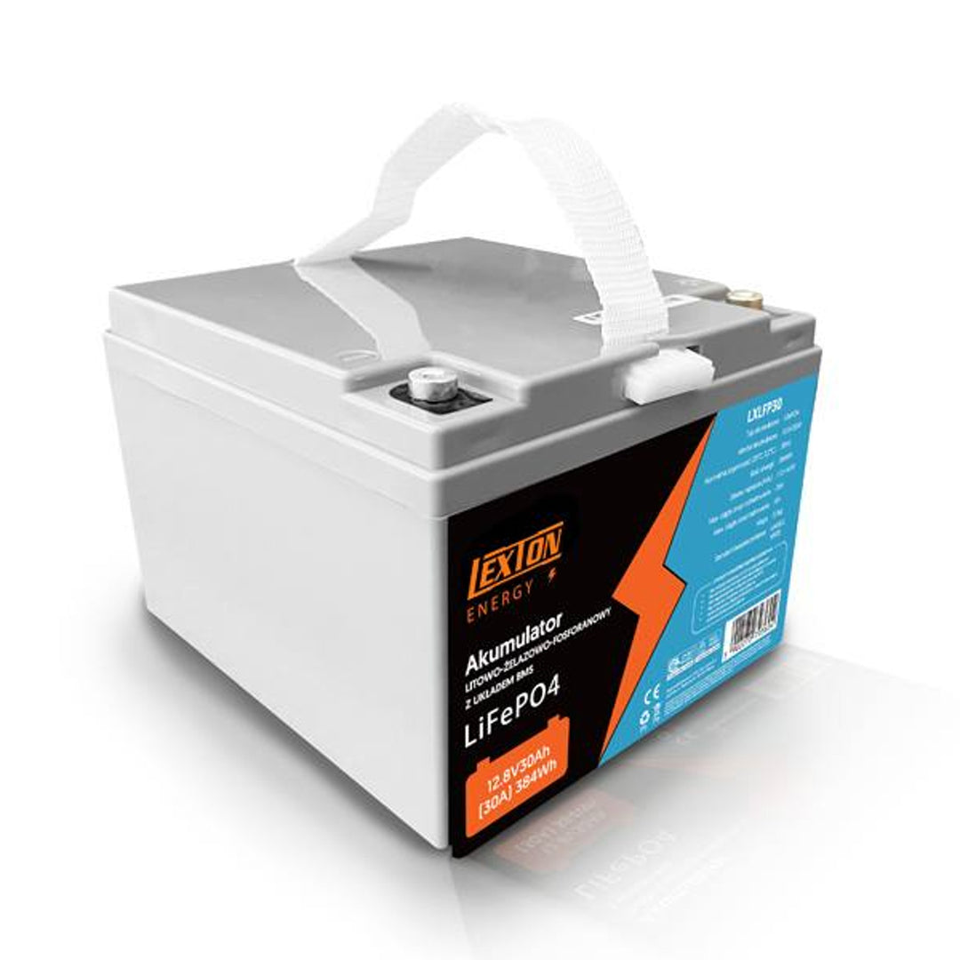 Lexton LiFePo4 Lithium Iron Phosphate Battery, with BMS, 12.8V, 30Ah, LXLFP30 + LTC Energy LiFePO4 Battery Rectifier