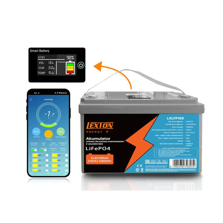 LiFePo4 Lexton lithium-iron-phosphate battery, with BMS, 12.8V, 100Ah, LXLFP100 + LTC Energy LiFePO4 battery charger