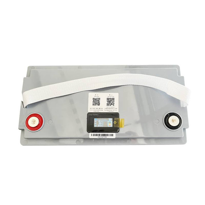 LiFePo4 Lexton lithium-iron-phosphate battery, with BMS, 12.8V, 100Ah, LXLFP100 + LTC Energy LiFePO4 battery charger