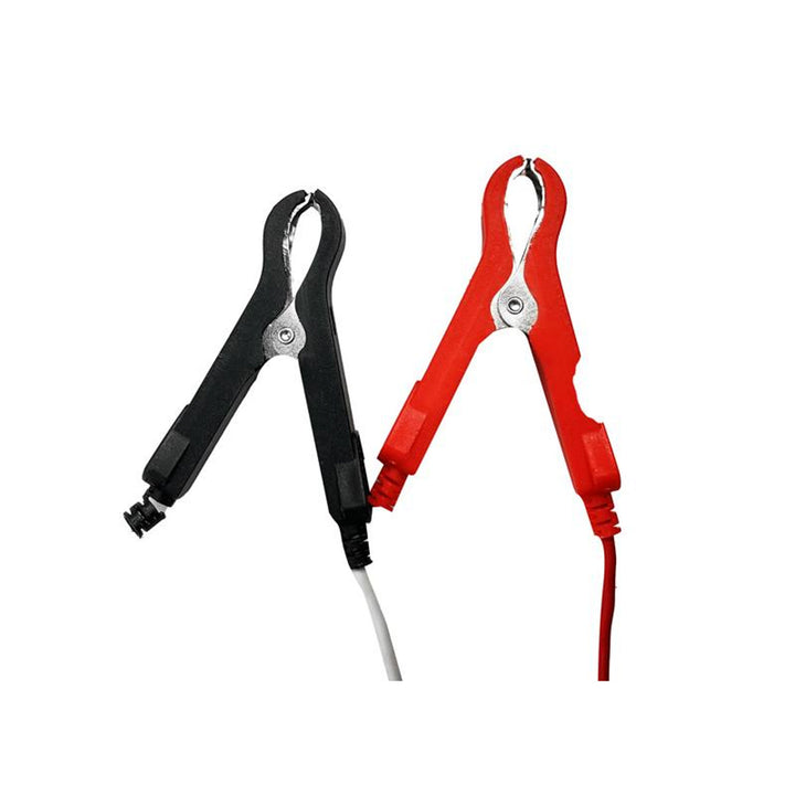 LiFePo4 Lexton lithium-iron-phosphate battery, with BMS, 12.8V, 100Ah, LXLFP100 + LTC Energy LiFePO4 battery charger