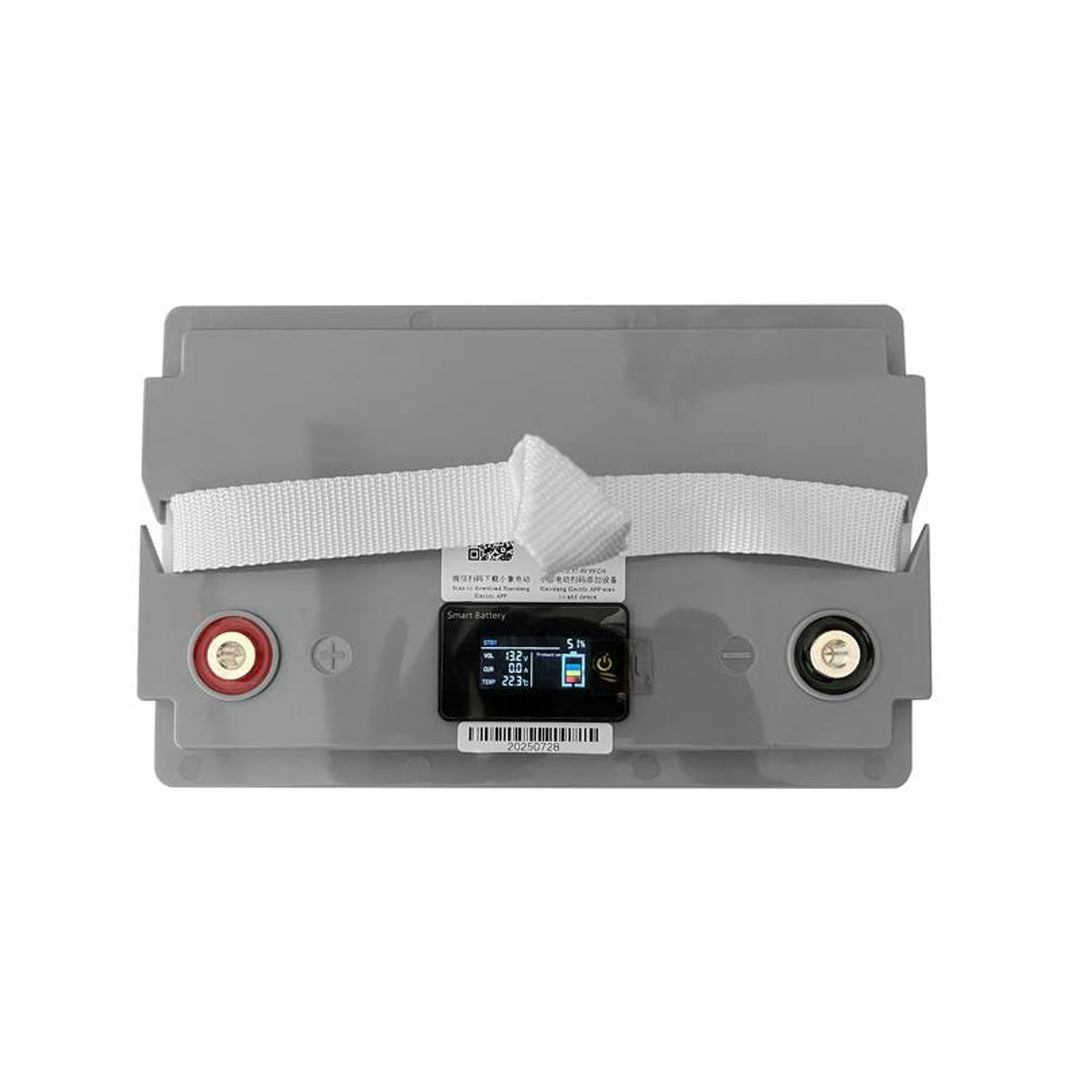 LiFePo4 Lexton lithium-iron-phosphate battery, with BMS, 12.8V, 70Ah, LXLFP70 + LTC Energy LiFePO4 battery charger