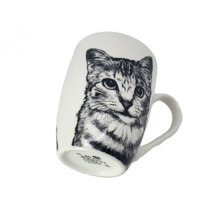 Queen Isabel porcelain mug, American Shorthair cat, 350ml, Q1-05195