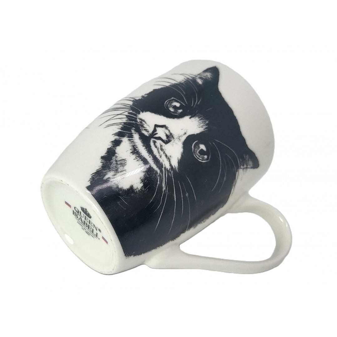 Queen Isabel porcelain mug, European cat, 350ml, Q1-05218