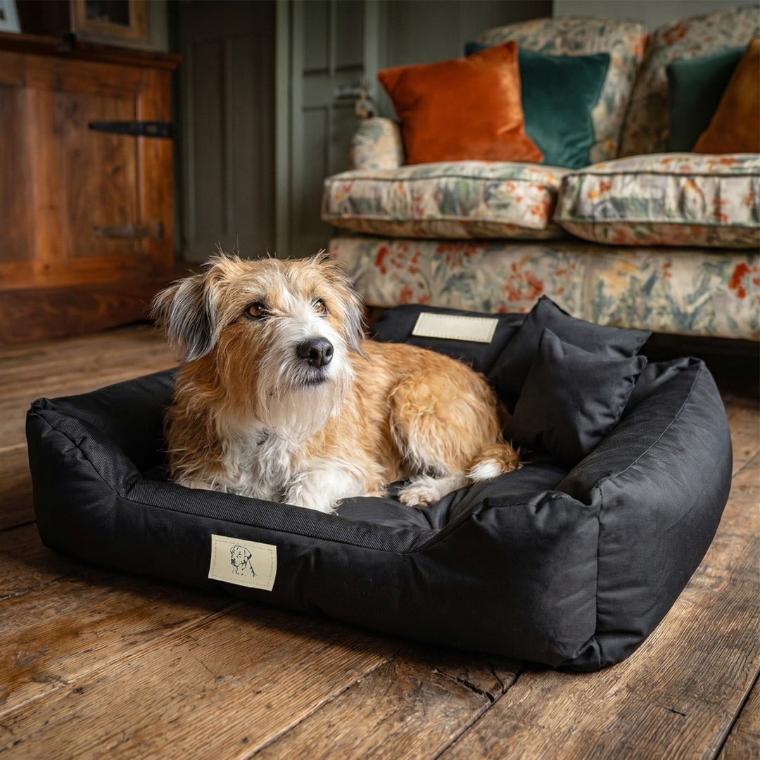 GreenBlue Pet Bed, black, rectangular, external dimensions: 75x65 cm, internal dimensions: 60x50 cm GB241 BL