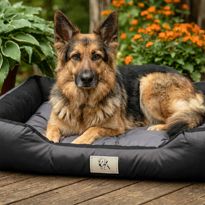 GreenBlue Dog Bed, dark gray, rectangular, external dimensions: 115x95 cm, internal dimensions: 100x80 cm GB240 GR