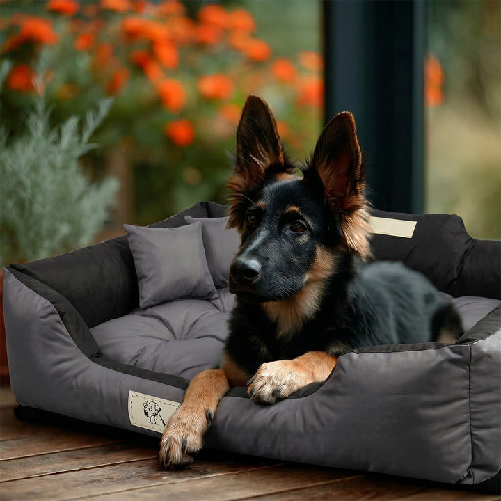 GreenBlue Dog Bed, dark gray, rectangular, external dimensions: 115x95 cm, internal dimensions: 100x80 cm GB240 GR
