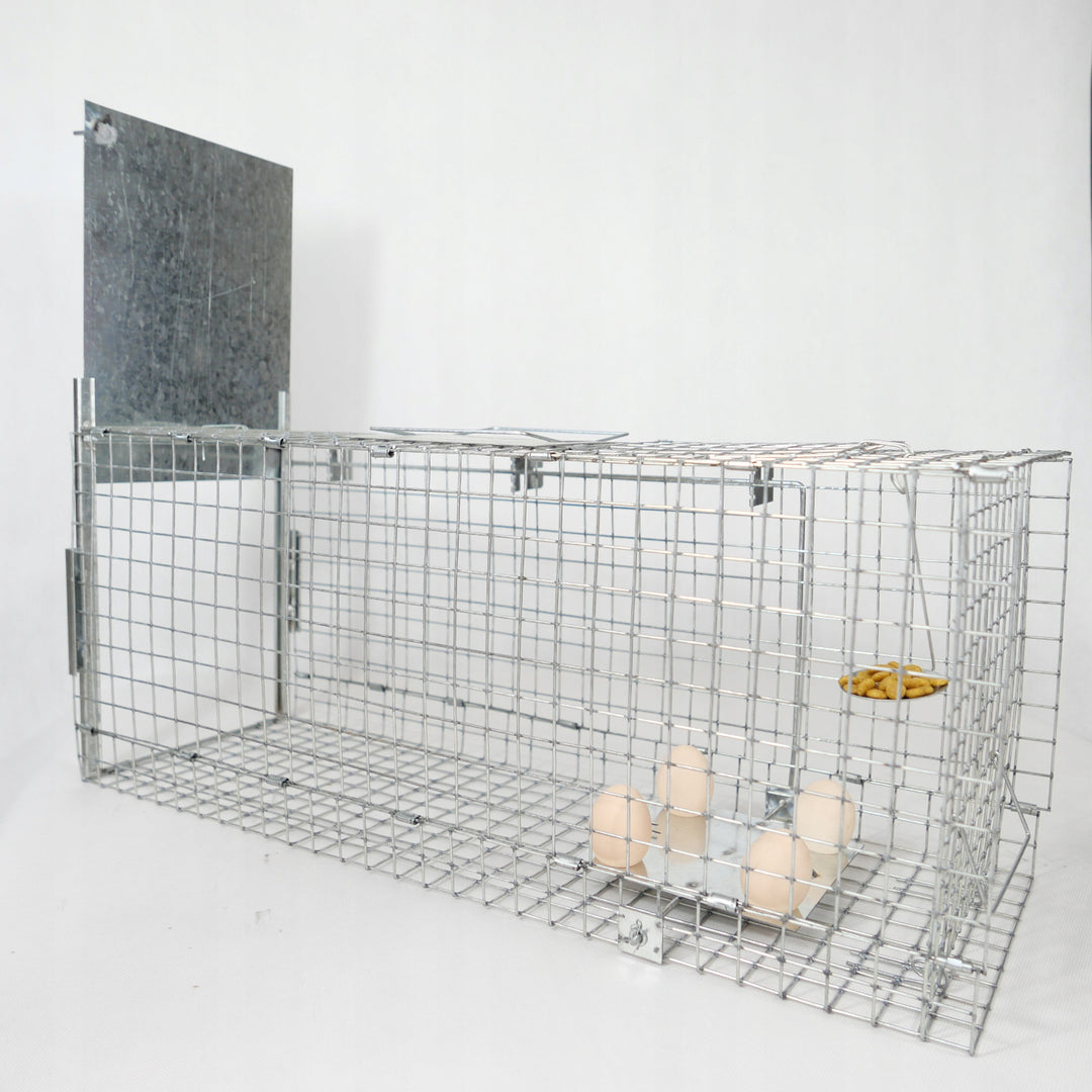 Piège vivant, piège à martres, rats, souris, visons, belettes, Viano P2, 2 pièces