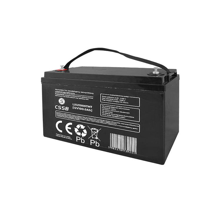 Batería de gel AGM de 12 V 100 Ah sin mantenimiento LX121000