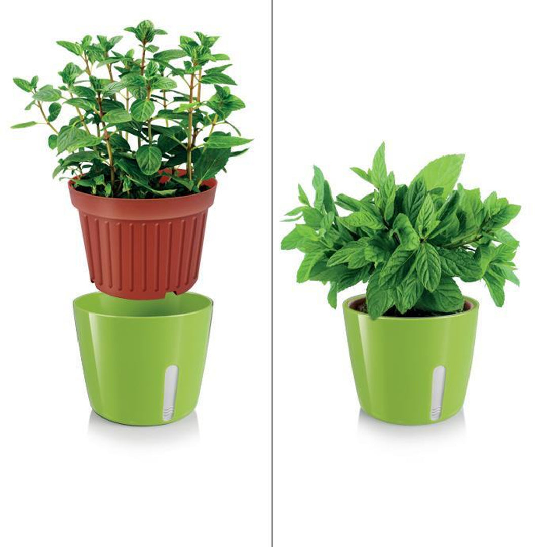 Casing for TESCOMA SENSE fleur pot avec mesure cup 899036.25 green