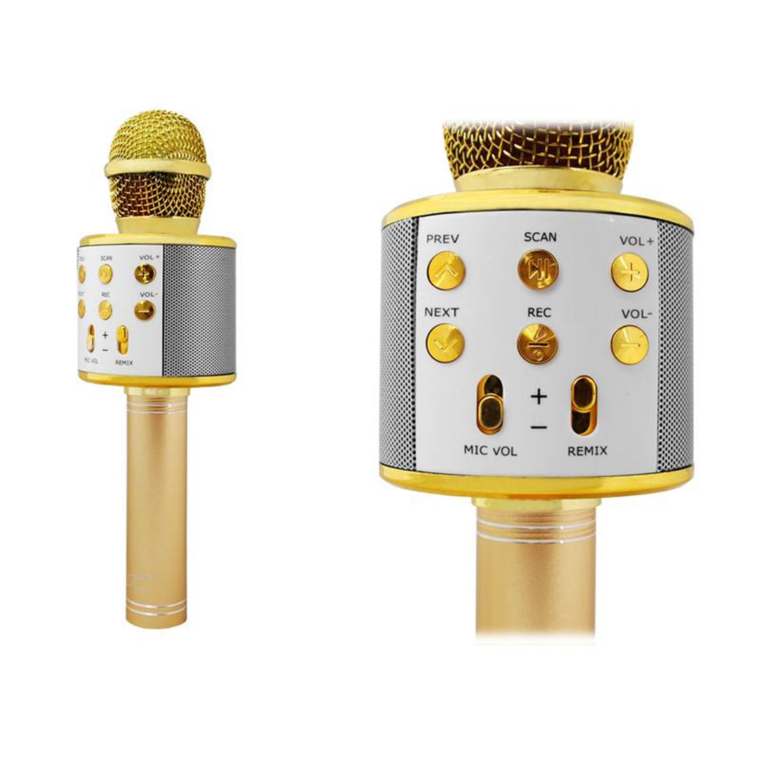 LTC mIC100 Bluetooth Mikrofon mit eingebautem Lautsprecher-GOLD-USB Kabel Voice Modulation Geräuschreduzierung