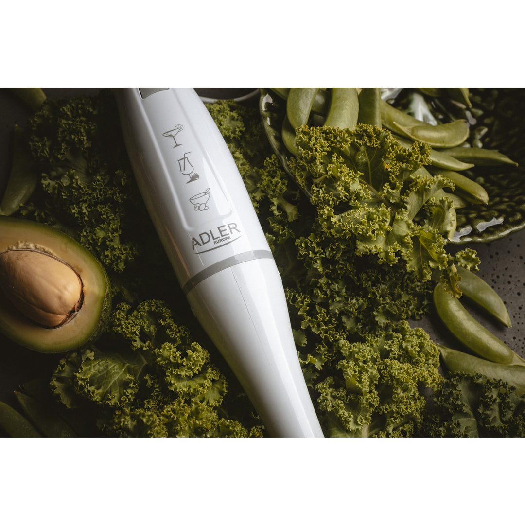 Adler AD 4622 energy-saving, modern, quiet hand blender