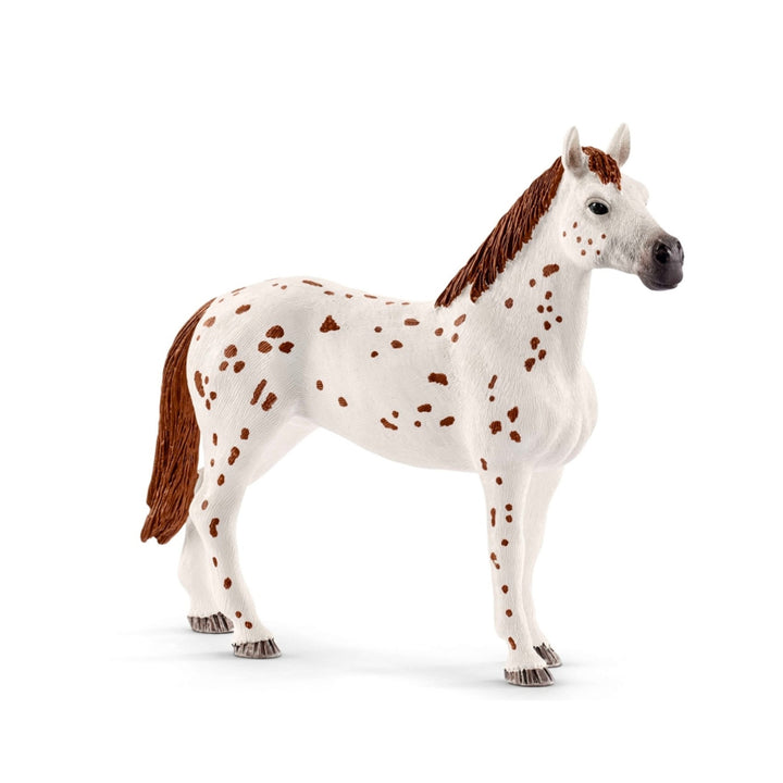 Coffret Cheval Entraînement Appaloosa Schleich 42433