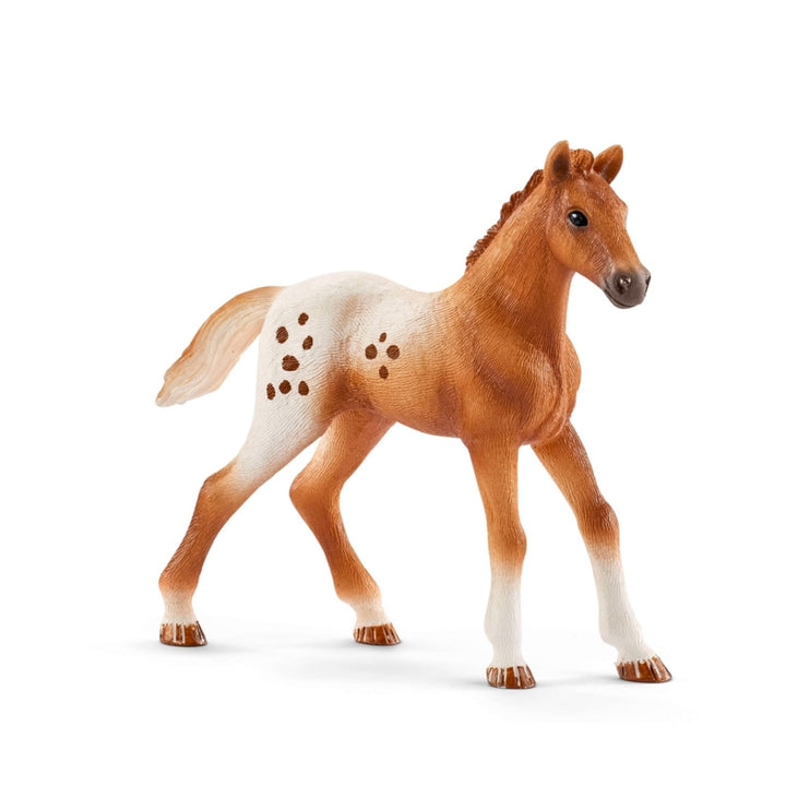 Appaloosa Schleich Horse Club 42433 trainingskit