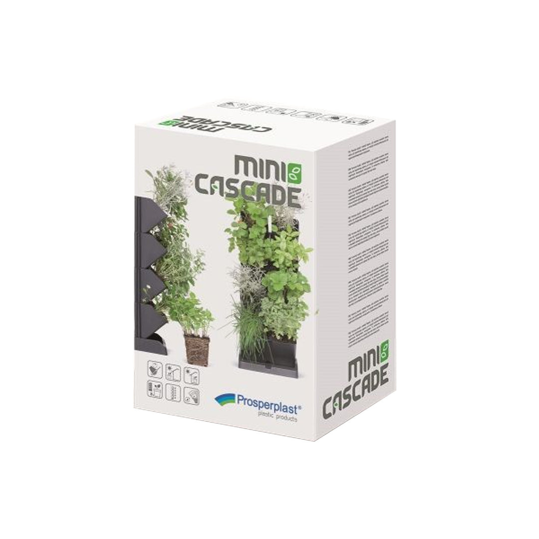 Jardin vertical Mini Cascade anthracite avec Ciseaux pour herbes Prosperplast