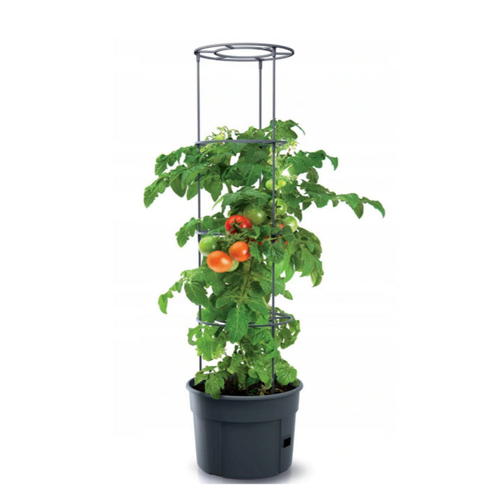 Pflanzkübel Tomate Grower 12L Tomatenzüchter IPOM300-S433