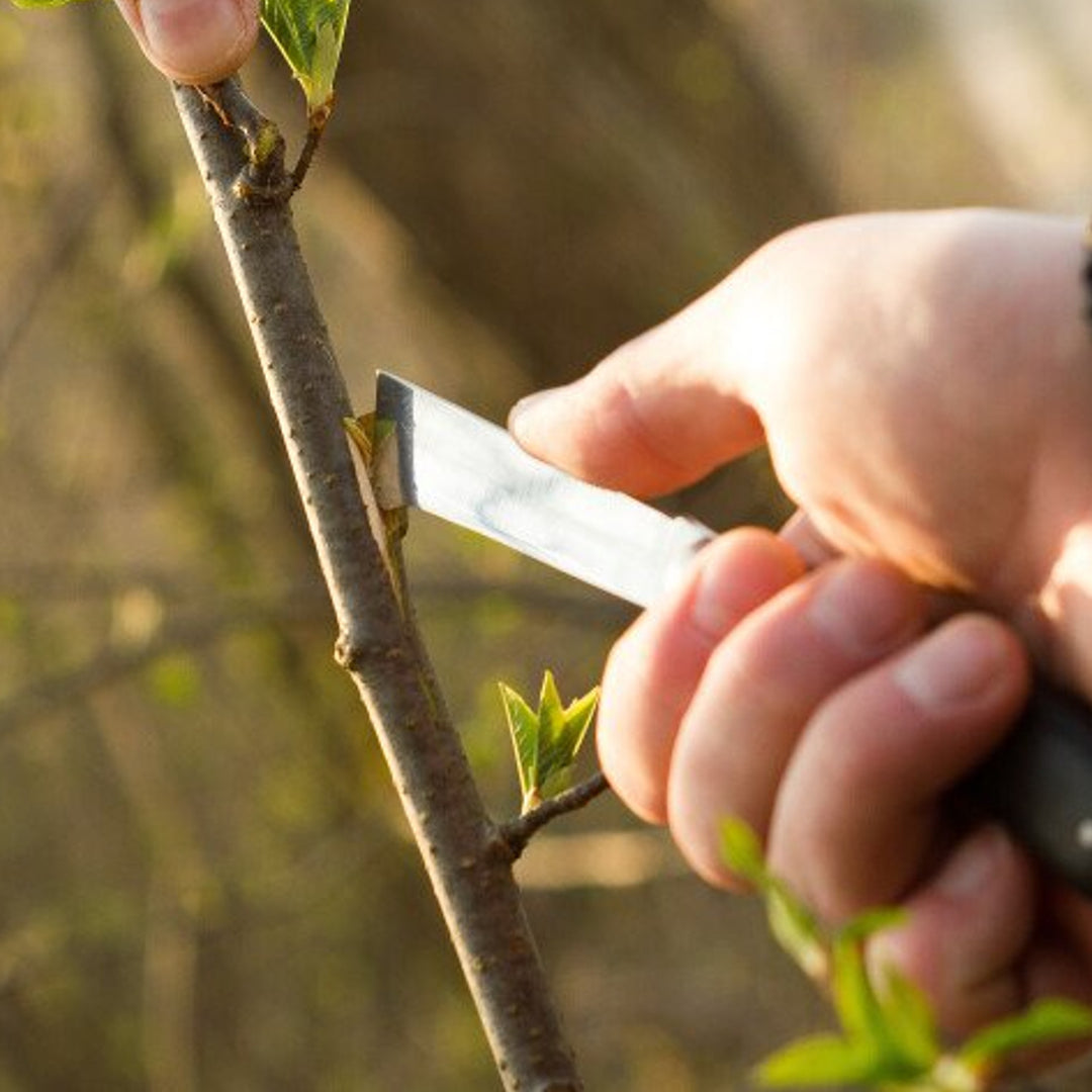 Tuinmes Cellfast voor het enten van planten 40-262 Ergonomische handgreep