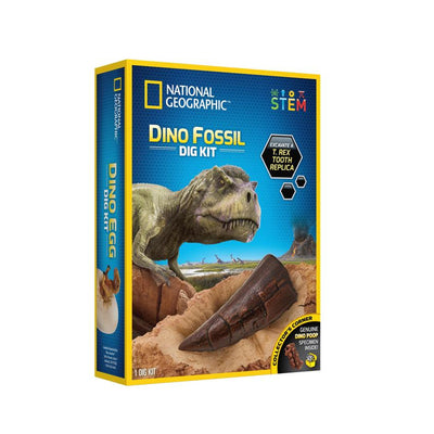 National Geographic RTNGDINO2INT Kit di scavo fossile di dinosauro National Geographic Replica nascosta del dente di T Rex
