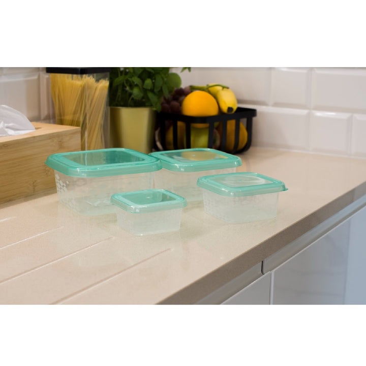 BranQ 2304 Set of 4 food storage containers with lids